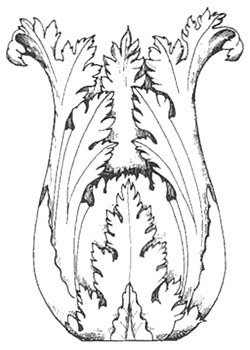 akant